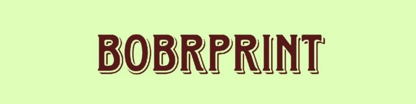 напечатанные детали мастера BOBRprint